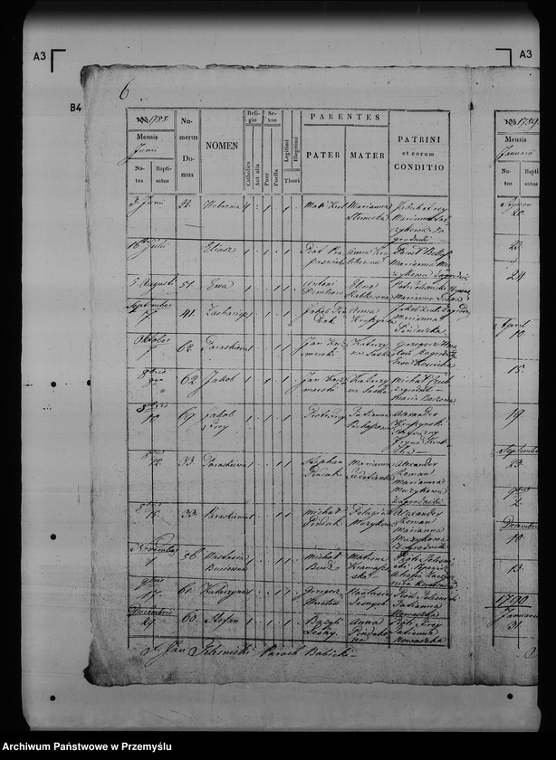 image.from.unit.number "[Kopie ksiąg metrykalnych parafii Skopów z filiami Babice, Ruszelczyce (dekanat Pruchnik)]"