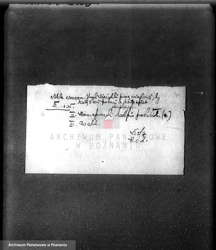 Obraz 11 z jednostki "Kom. Ochrony Lasów /Nadzór nad gospodarką leśną sprawy ogólne/"