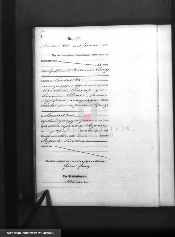 Obraz 16 z jednostki "Księga urodzeń"
