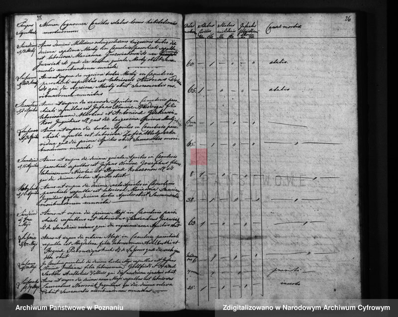 Obraz 16 z jednostki "Liber mortuorum"