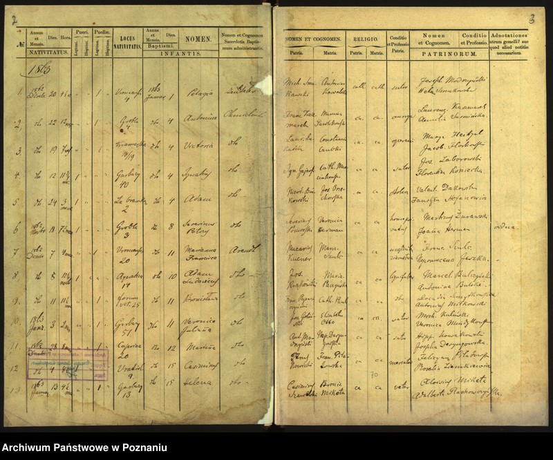 Obraz 4 z jednostki "Księga urodzin"