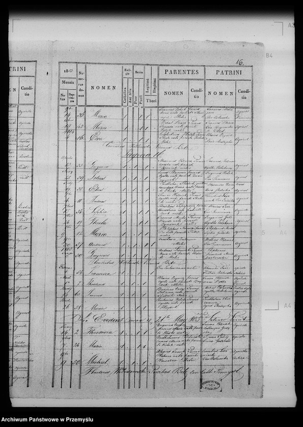 Obraz 20 z jednostki "[Kopie ksiąg metrykalnych parafii Bełz z filiami Prusinów, Tuszków, Witków (dekanat Bełz)]"