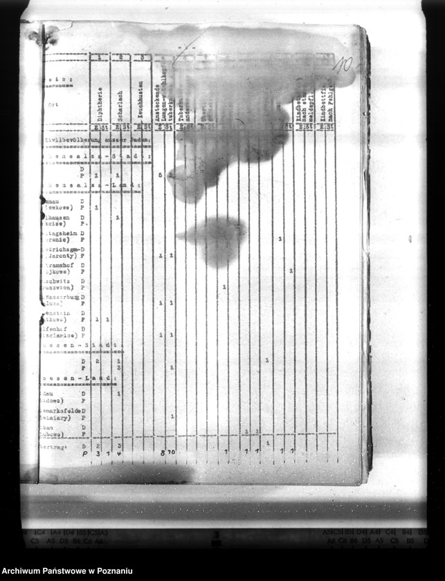 Obraz 15 z jednostki "Statistik der Krankheiten im Wartheland"