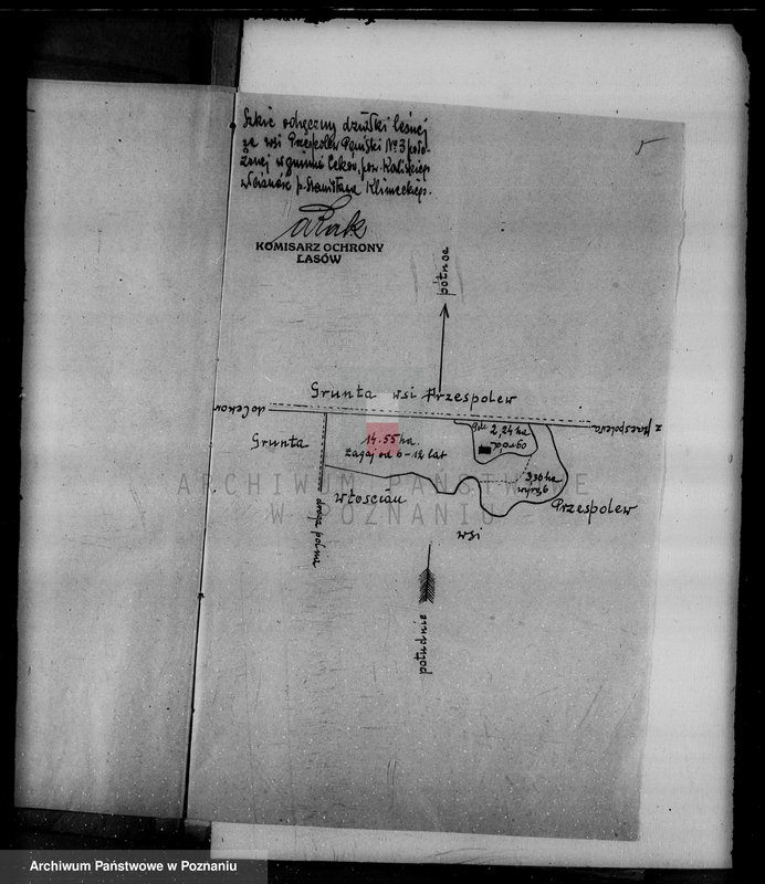 Obraz 9 z jednostki "Gmina Ceków w powiecie kaliskim nadzór nad gospodarką w lasach"