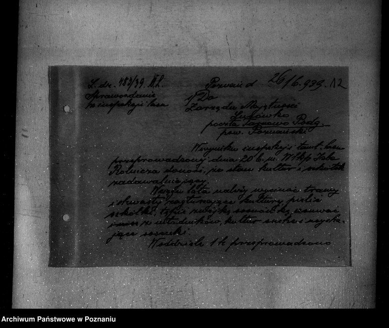 Obraz 16 z jednostki "Nadzór nad gospodarką w lasach majętności Lusówko powiatu poznańskiego"