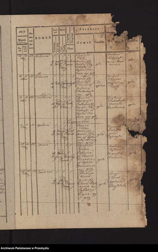 image.from.unit.number "Copia metrices natorum ex anno 1839  [Kopia metryki urodzeń z roku 1839]"
