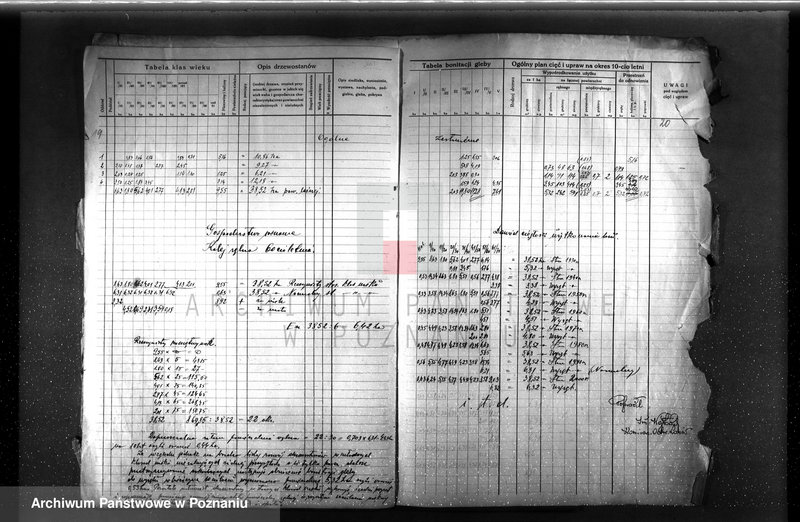 image.from.unit.number "Plan urządzenia gospodarstwa leśnego dla lasu majętności P. Griesera powiat szamotulski 1930-1940"