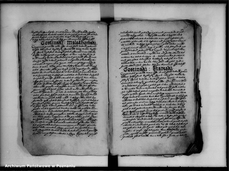 Obraz 20 z jednostki "Inscriptiones, relationes [inducta]"