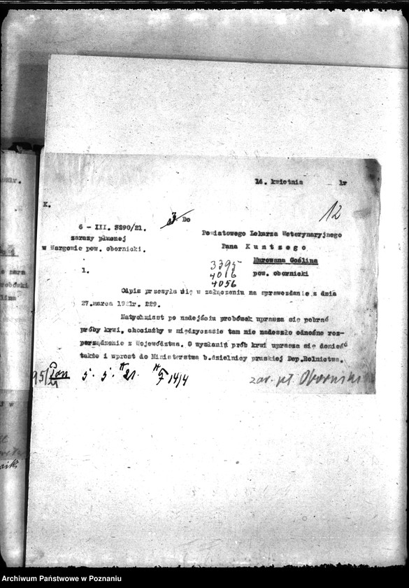 Obraz 16 z jednostki "Zaraza płucna - Oborniki"