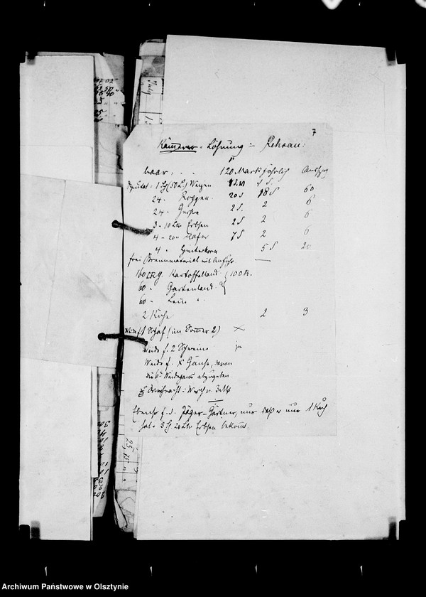 image.from.unit.number "/Geldeinnahme u. Ausgabe u. a. Wirtschaftsakten des Anna v. Lehndorffschen Allodiaguts Rehsau mit Sandhof u. Carlswalde/"
