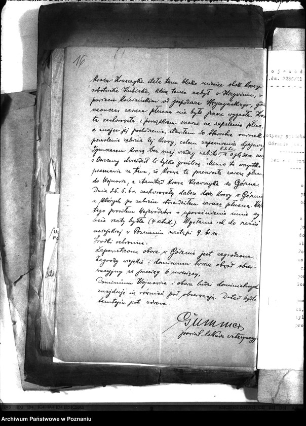 Obraz 20 z jednostki "Zaraza płucna - Leszno"