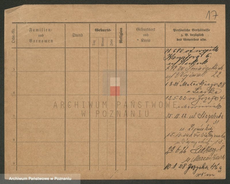 Obraz 17 z jednostki "Paprzycki - Pasiak"