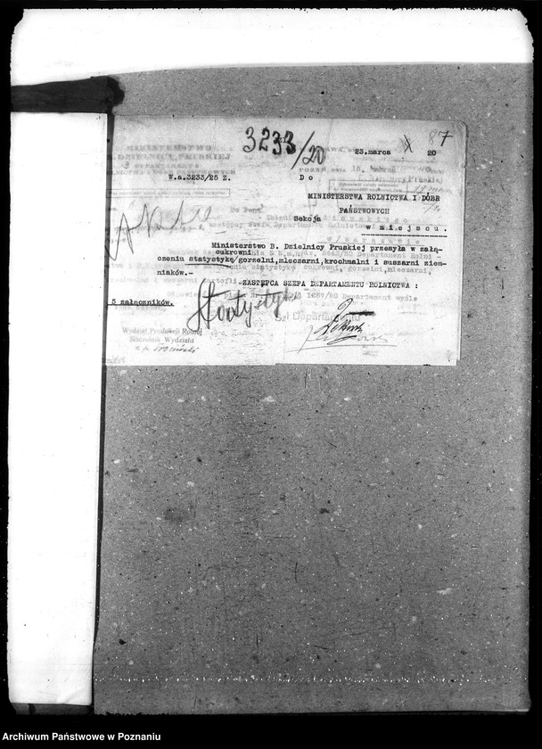 Obraz 11 z jednostki "Statystyka"