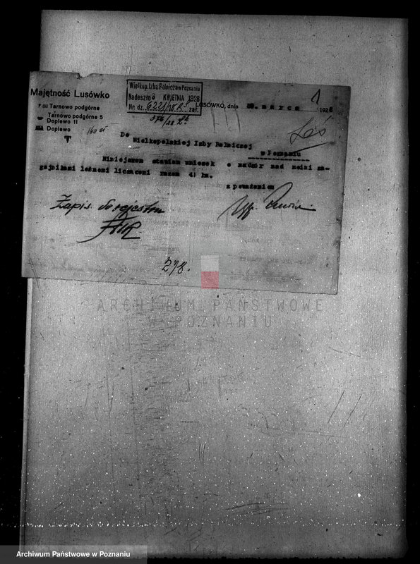 Obraz 5 z jednostki "Zarząd majętności Lusówko powiat poznański/ nadzór nad gospodarką leśną/"
