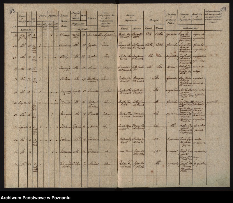 image.from.unit.number "Duplikat urodzonych"