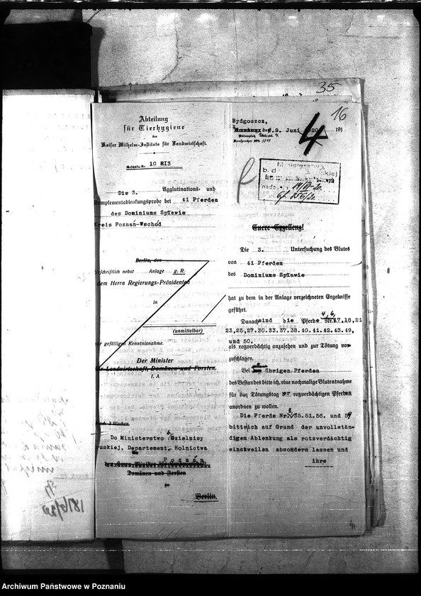 Obraz 20 z jednostki "Nosacizna - Poznań-Wschód"