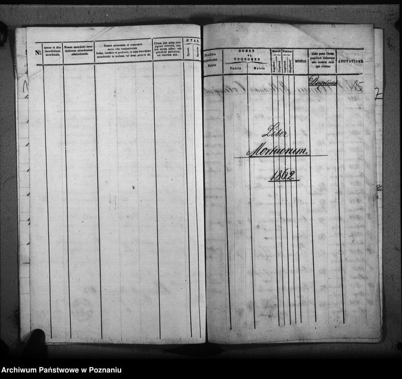 Obraz 11 z jednostki "Duplicat baptisatorum, copulatorum, mortuorum"