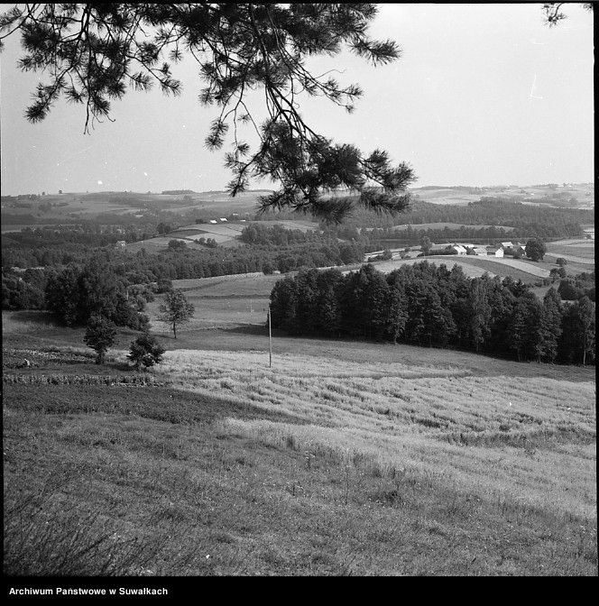 image.from.unit.number "Smolniki, okolice Suwałk."