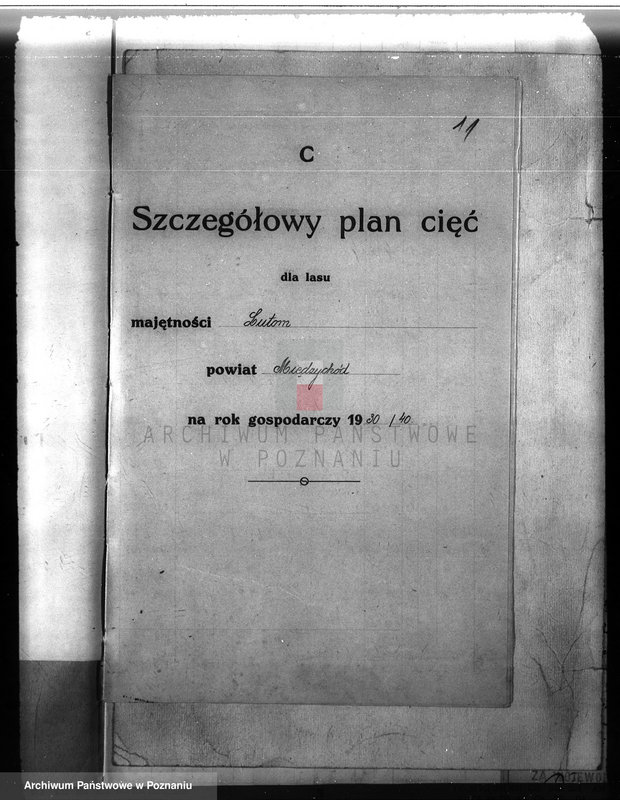 Obraz 15 z jednostki "Majątek Lutom w powiecie międzychodzkim 1930-1940 Plan urządzenia gospodarstwa leśnego"