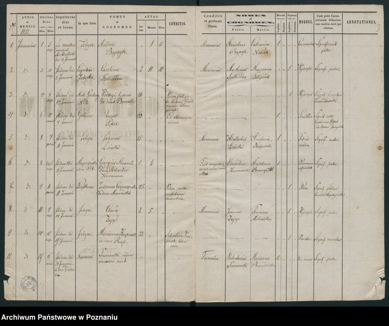 Obraz 4 z jednostki "Księga zgonów"