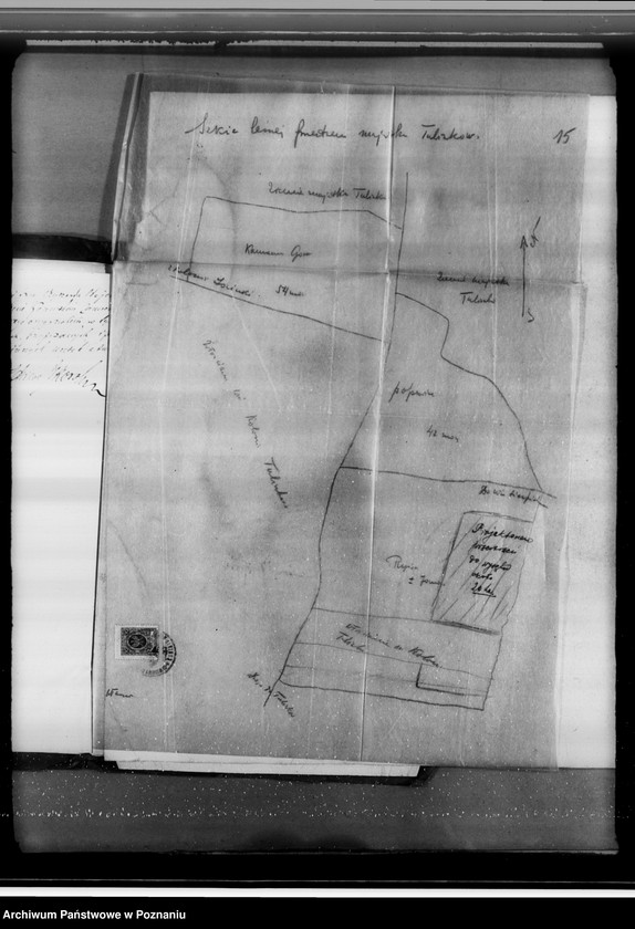 Obraz 20 z jednostki "Majątek Tuliszków, Rysiu, Szubianki powiatu konińskiego /nadzór nad gospodarką leśną/"