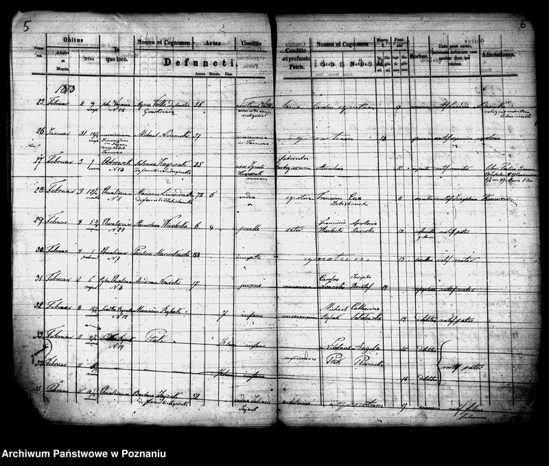 Obraz 4 z jednostki "Księga zgonów"