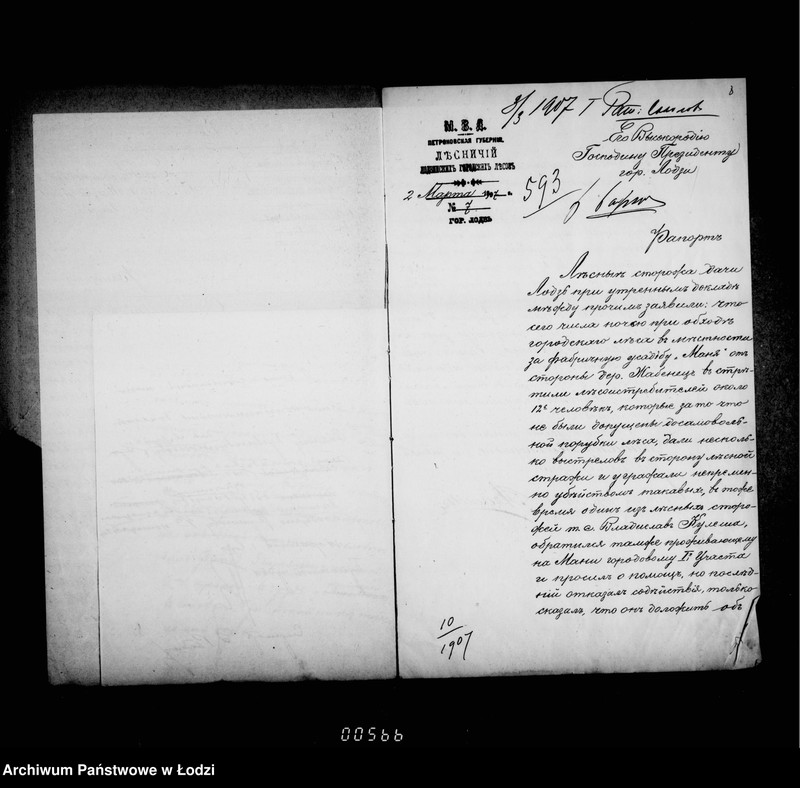 Obraz 11 z jednostki "O gorodskich lesach"