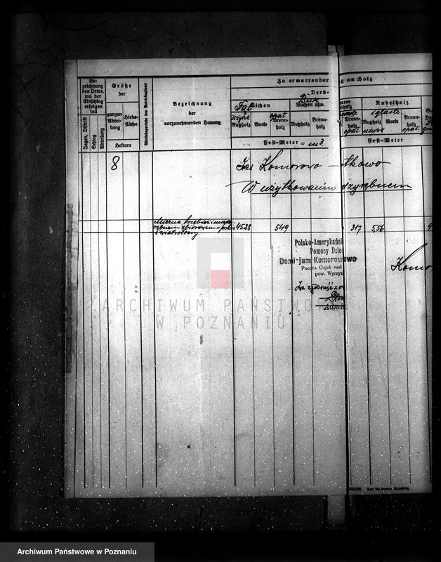 Obraz 12 z jednostki "Majętność leśna Komorowo powiat wyrzyski"