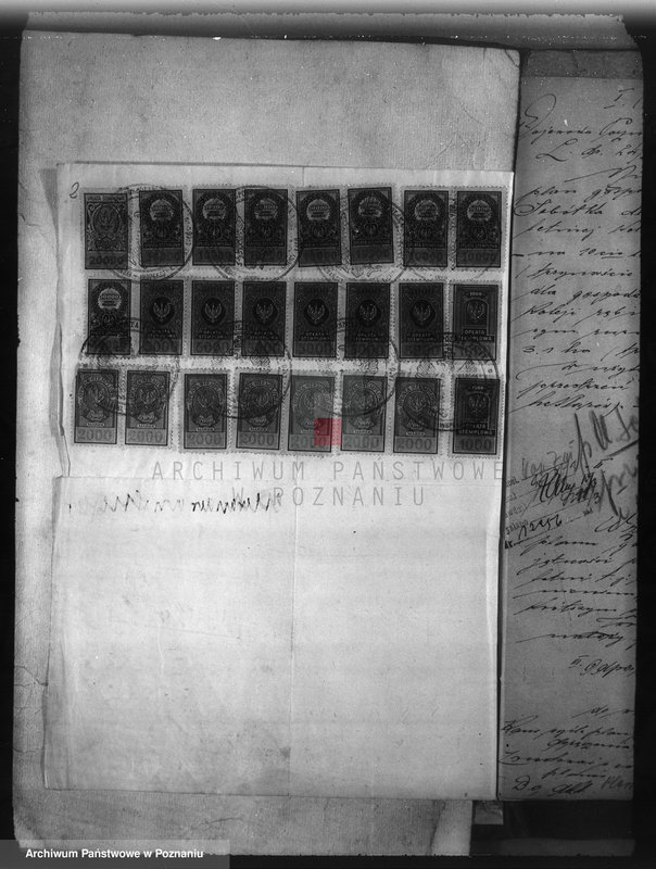 Obraz 6 z jednostki "Majętność /leśna/ Sobótka powiat ostrowski"