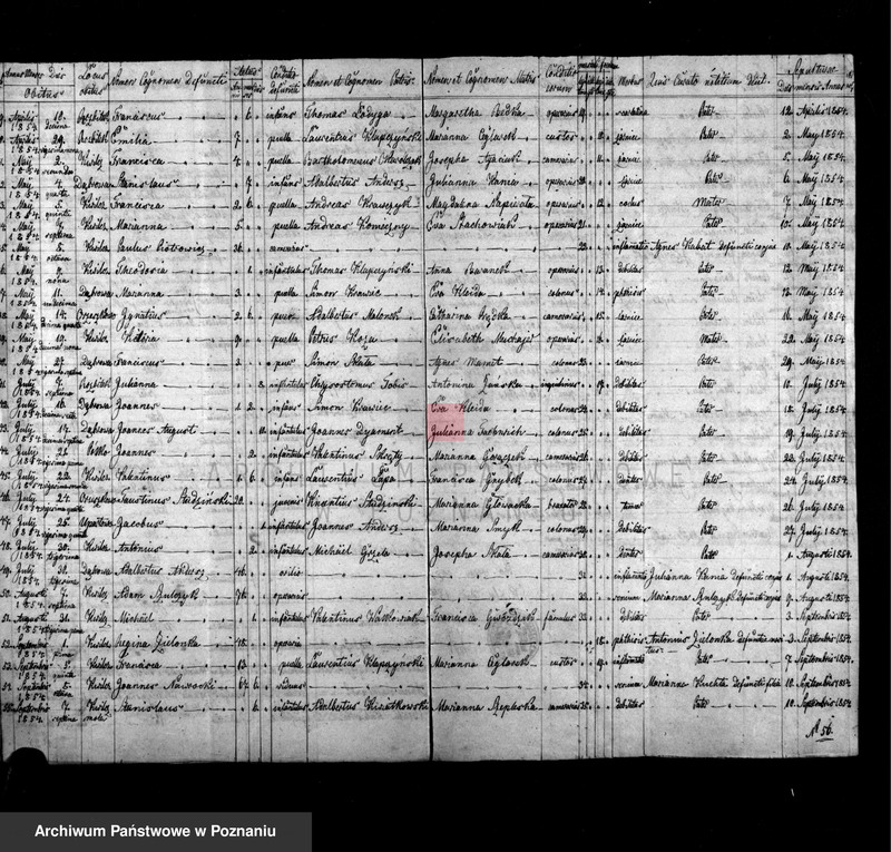 Obraz 9 z jednostki "Liber baptisatorum, copulatorum et mortuorum"
