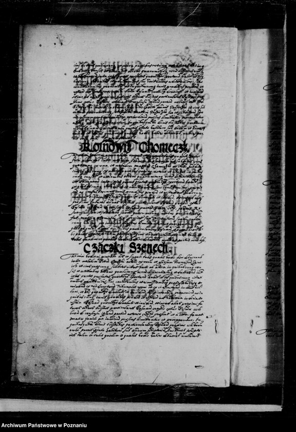 Obraz 5 z jednostki "Inscriptiones, relationes, decreta [inducta]"