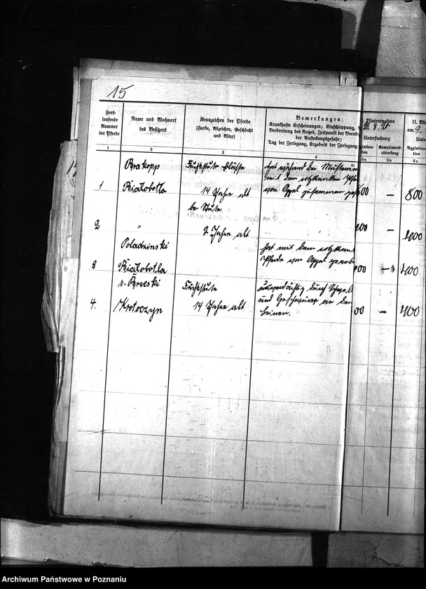 Obraz 19 z jednostki "Nosacizna - Szubin"