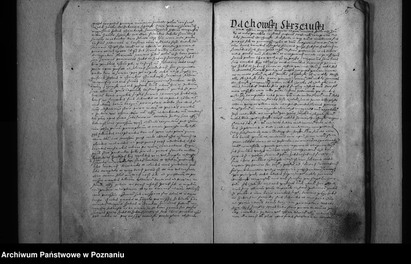 Obraz 8 z jednostki "Inscriptiones [inducta]"