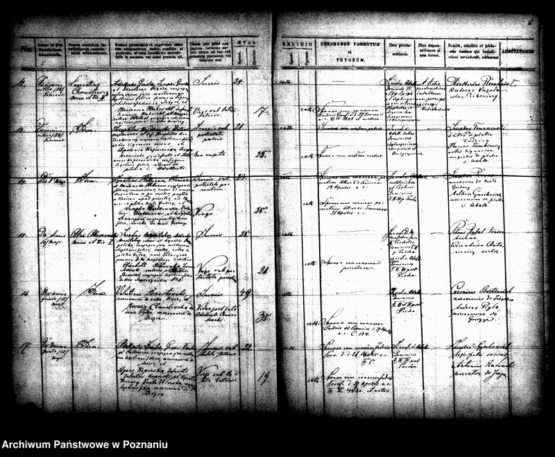 Obraz 6 z jednostki "Księga małżeństw"