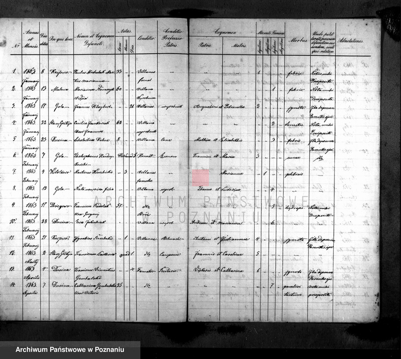 Obraz 2 z jednostki "Liber mortuorum"