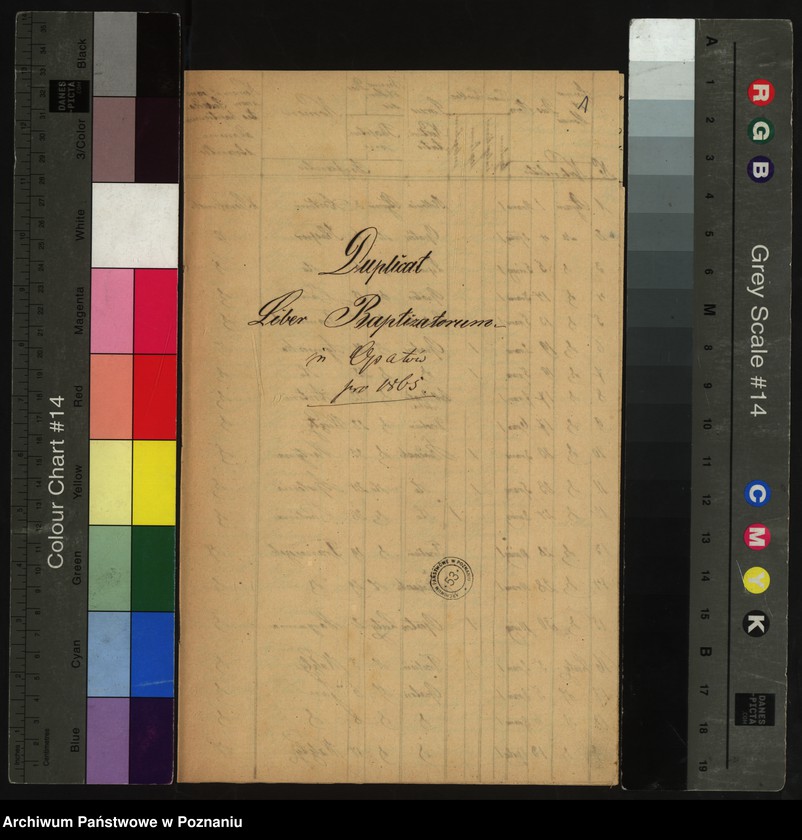 Obraz 3 z jednostki "Duplikat urodzonych"