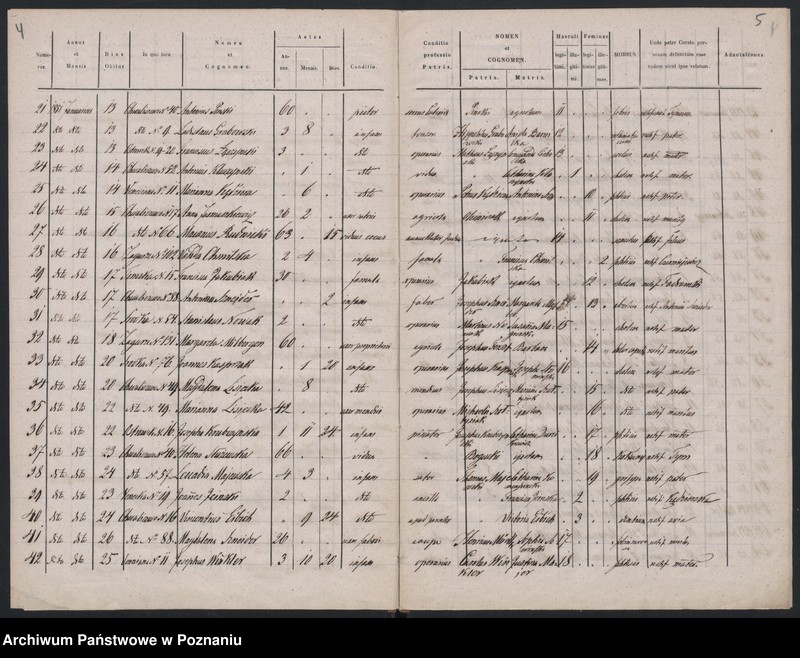 Obraz 5 z jednostki "Spis zgonów"