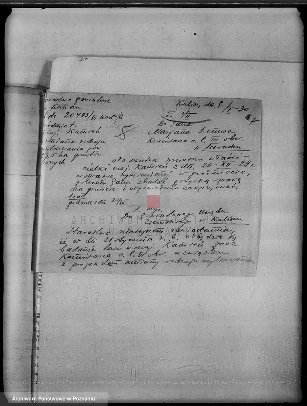 Obraz 11 z jednostki "Majątek Kamień powiat kaliski /sprawy leśne/"