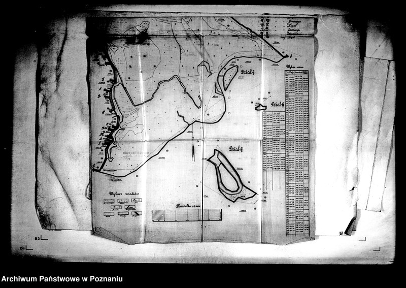 Obraz 5 z jednostki "Plany podziału wspólnego pastwiska osady Lądek i osady Lądek Poduchowny I skala 1:4000"