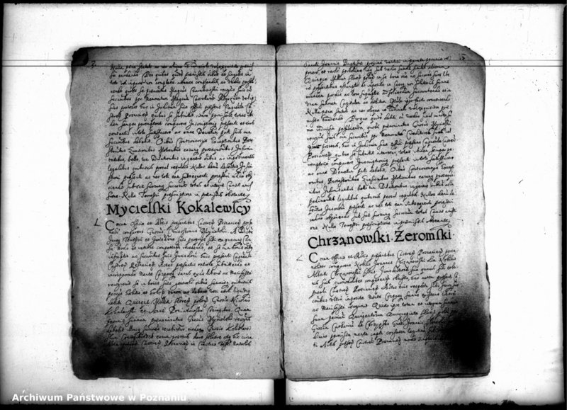 Obraz 6 z jednostki "Inscriptiones [inducta]"