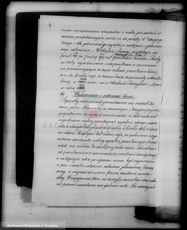 Obraz 11 z jednostki "/Las miasta Kalisza nadzór nad gospodarką/"