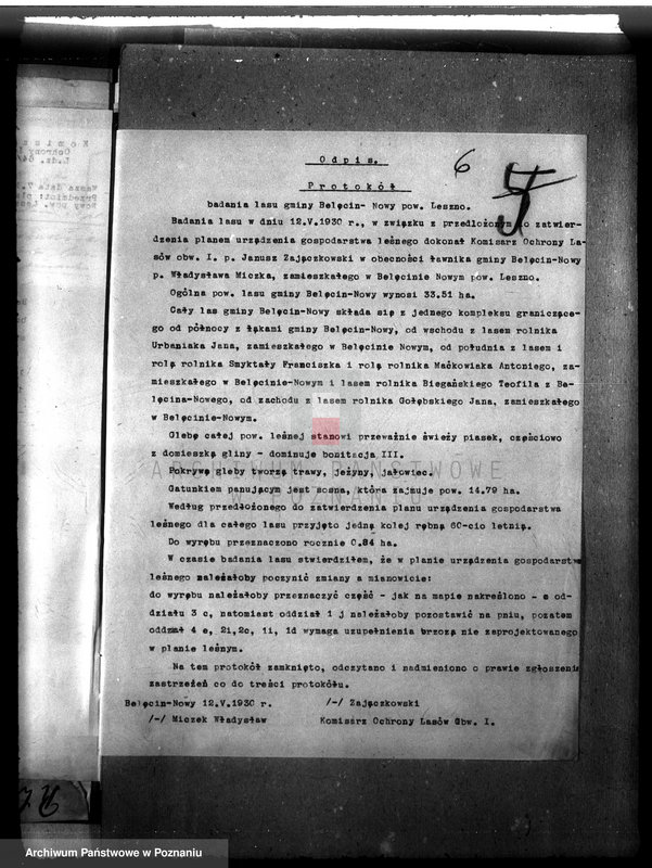 Obraz 10 z jednostki "Las gromady Belęcin-Nowy powiat leszczyński"