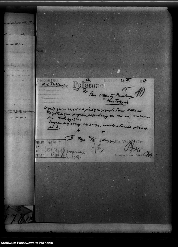 Obraz 19 z jednostki "Nadzór nad gospodarką leśną majętności Mokronos powiat krotoszyński"