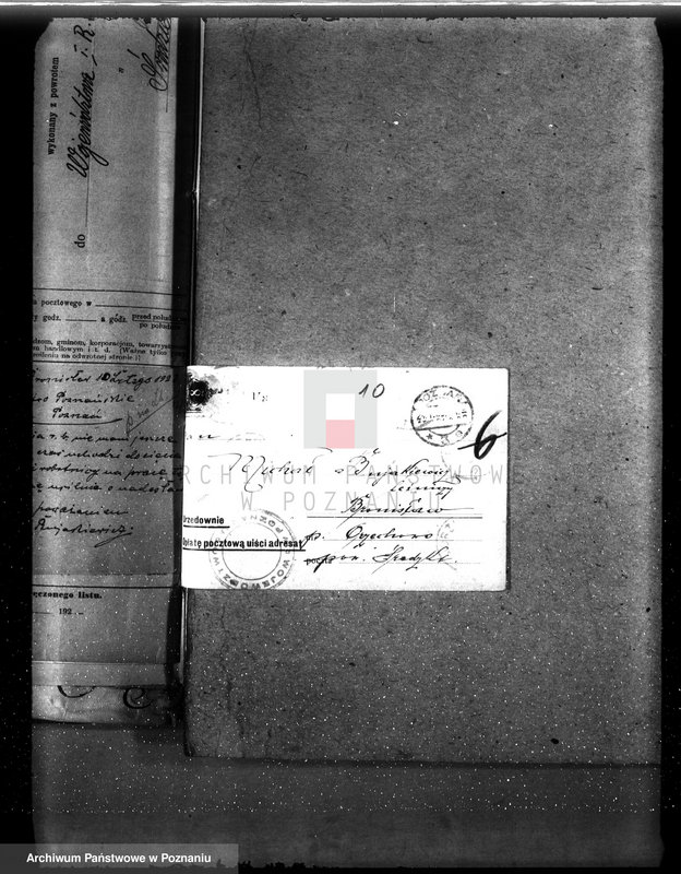 Obraz 14 z jednostki "Nadzór nad gospodarką w lasach majętności Bronisław"