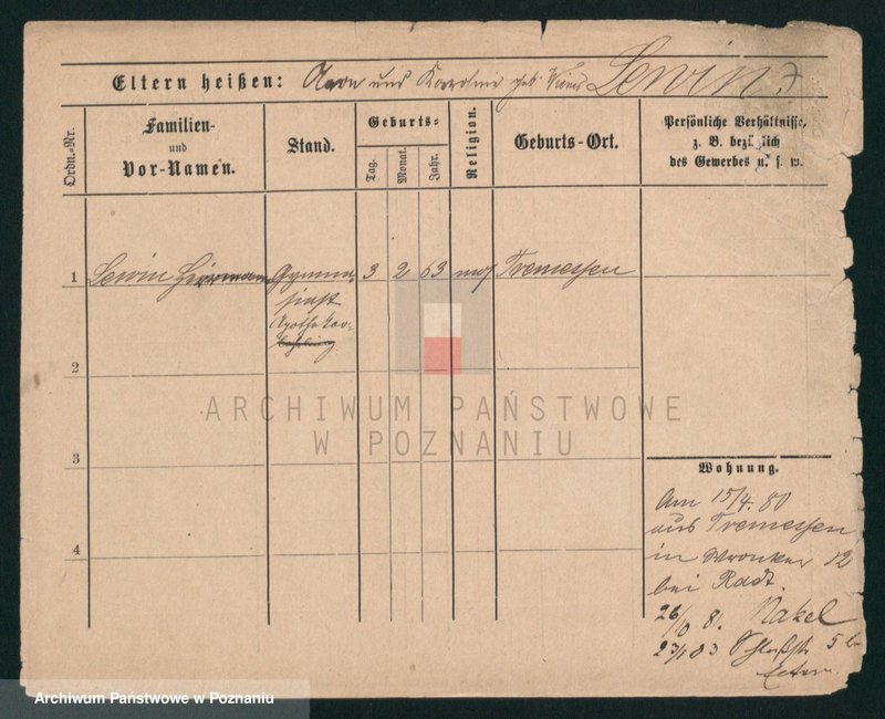 Obraz 7 z jednostki "Lewiecki - Lewulski"