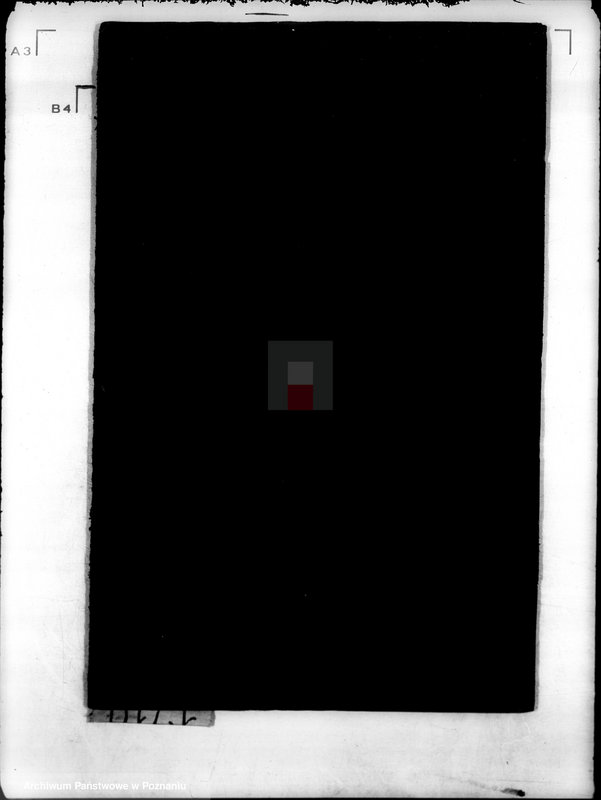 Obraz 4 z jednostki "/Towarzystwo Ogrodu Działkowego i Hodowli Drobnego Inwentarza im. J. Sobieskiego w Poznaniu/"