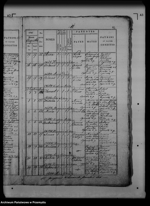 Obraz 17 z jednostki "[Kopie ksiąg metrykalnych parafii Dziewięcierz (dekanat Rawa Ruska)]"