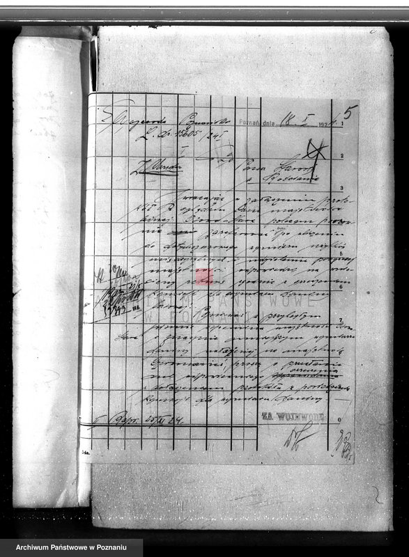 Obraz 9 z jednostki "Nadzór nad gospodarką w lasach majętności Czerwona-Wieś powiat kościański"