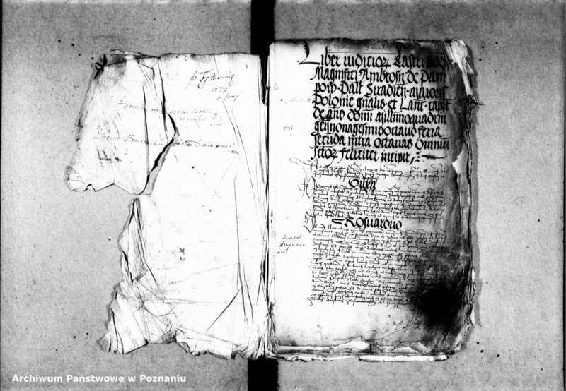 Obraz 6 z jednostki "Inscriptiones, relationes, decreta [inducta]"