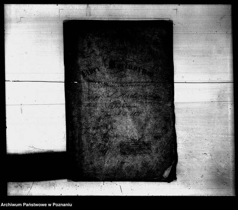 Obraz 13 z jednostki "Księga małżeństw"